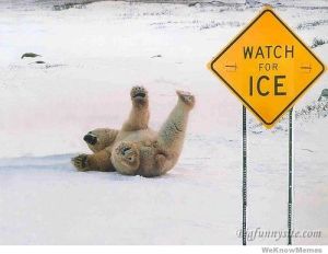 watch-for-ice-polarbear